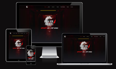 Dark Veil Society